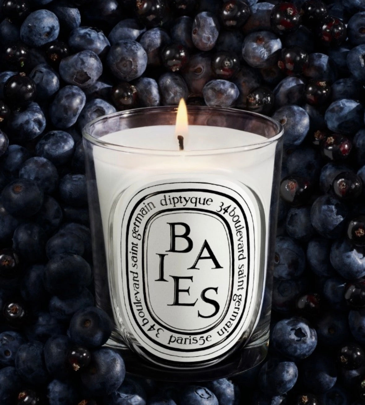 Organic Soy Wax Melt Collection